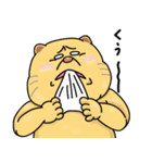 ぽっちゃりねこのスタンプ（個別スタンプ：23）