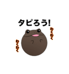 たぴおかえる（個別スタンプ：1）