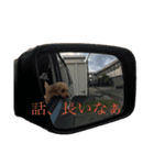 レイチスタンプ（個別スタンプ：3）