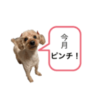 レイチスタンプ（個別スタンプ：4）