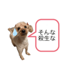 レイチスタンプ（個別スタンプ：6）