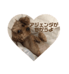 レイチスタンプ（個別スタンプ：7）
