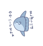 あかるいまんぼう（個別スタンプ：16）