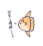 あかるいまんぼう（個別スタンプ：23）
