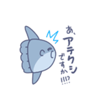 あかるいまんぼう（個別スタンプ：31）