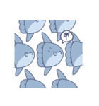 あかるいまんぼう（個別スタンプ：39）