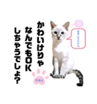 いつでも★じぇらるぅ2（個別スタンプ：2）