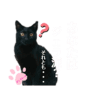 いつでも★じぇらるぅ2（個別スタンプ：3）