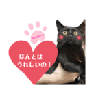 いつでも★じぇらるぅ2（個別スタンプ：4）