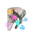 いつでも★じぇらるぅ2（個別スタンプ：5）