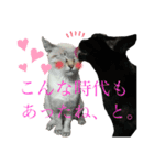 いつでも★じぇらるぅ2（個別スタンプ：8）
