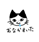 はちわれねこ の かいくんだにゃ！（個別スタンプ：12）