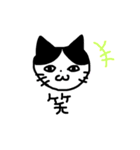 はちわれねこ の かいくんだにゃ！（個別スタンプ：19）
