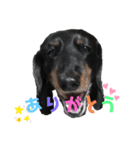 momo stampp（個別スタンプ：6）