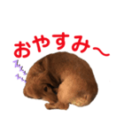 ビビのスタンプです（個別スタンプ：3）