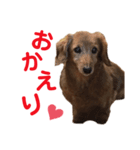 ビビのスタンプです（個別スタンプ：7）