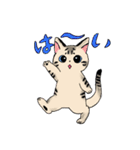 ねこのくぅちゃんとおともだち（個別スタンプ：2）