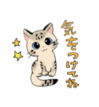 ねこのくぅちゃんとおともだち（個別スタンプ：6）