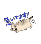 ねこのくぅちゃんとおともだち（個別スタンプ：11）