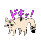 ねこのくぅちゃんとおともだち（個別スタンプ：13）