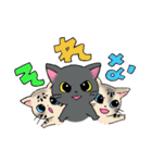 ねこのくぅちゃんとおともだち（個別スタンプ：15）