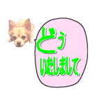 毎日使える犬の太文字吹き出し（個別スタンプ：18）