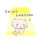 すずねこちゃんの使えるスタンプ（個別スタンプ：36）