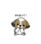 わんころの日常。（個別スタンプ：2）