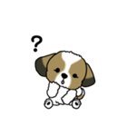 わんころの日常。（個別スタンプ：3）