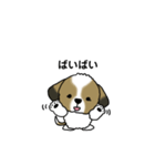わんころの日常。（個別スタンプ：4）