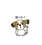 わんころの日常。（個別スタンプ：5）