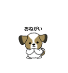 わんころの日常。（個別スタンプ：6）