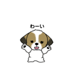 わんころの日常。（個別スタンプ：8）