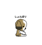 わんころの日常。（個別スタンプ：9）