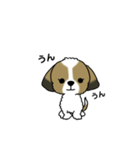 わんころの日常。（個別スタンプ：12）