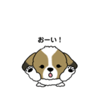 わんころの日常。（個別スタンプ：18）