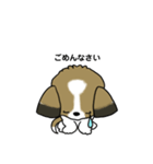 わんころの日常。（個別スタンプ：19）