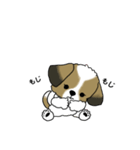 わんころの日常。（個別スタンプ：20）