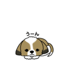 わんころの日常。（個別スタンプ：26）