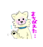 シバイヌみたいなイヌ2～兄弟を添えて～（個別スタンプ：9）