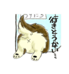 シバイヌみたいなイヌ2～兄弟を添えて～（個別スタンプ：12）