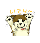 シバイヌみたいなイヌ2～兄弟を添えて～（個別スタンプ：30）