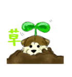 シバイヌみたいなイヌ2～兄弟を添えて～（個別スタンプ：40）