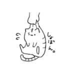 ねこのひなた（個別スタンプ：18）
