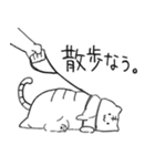 ねこのひなた（個別スタンプ：29）