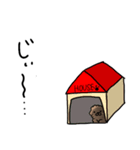 ゆるーいトイプードルのスタンプ（個別スタンプ：13）