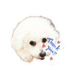 らんらん201910719（個別スタンプ：3）