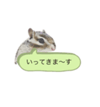 むぎぐらし 吹き出しにむぎ（個別スタンプ：2）