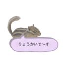 むぎぐらし 吹き出しにむぎ（個別スタンプ：3）