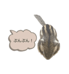 むぎぐらし 吹き出しにむぎ（個別スタンプ：5）